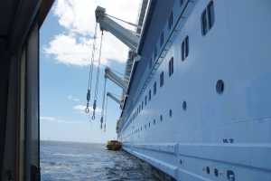 Bay of Islands 31oct2019 (275)